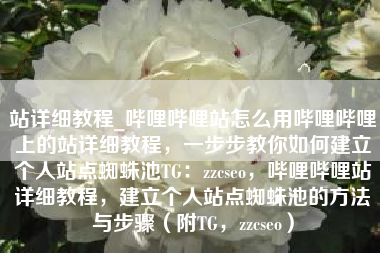 站详细教程_哔哩哔哩站怎么用哔哩哔哩上的站详细教程，一步步教你如何建立个人站点蜘蛛池TG：zzcseo，哔哩哔哩站详细教程，建立个人站点蜘蛛池的方法与步骤（附TG，zzcseo）