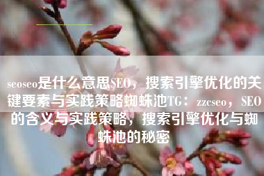 seoseo是什么意思SEO，搜索引擎优化的关键要素与实践策略蜘蛛池TG：zzcseo，SEO的含义与实践策略，搜索引擎优化与蜘蛛池的秘密