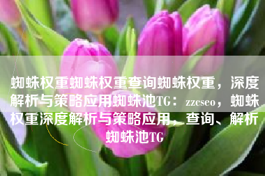 蜘蛛权重蜘蛛权重查询蜘蛛权重，深度解析与策略应用蜘蛛池TG：zzcseo，蜘蛛权重深度解析与策略应用，查询、解析蜘蛛池TG