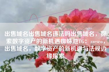 出售域名出售域名违法吗出售域名，探索数字资产的新机遇蜘蛛池TG：zzcseo，出售域名，数字资产的新机遇与法规边缘探索