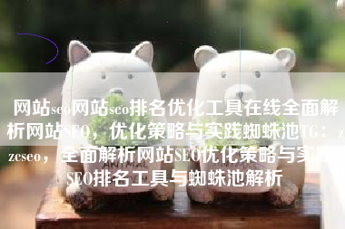 网站seo网站seo排名优化工具在线全面解析网站SEO，优化策略与实践蜘蛛池TG：zzcseo，全面解析网站SEO优化策略与实践，SEO排名工具与蜘蛛池解析