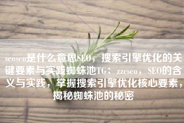 seoseo是什么意思SEO，搜索引擎优化的关键要素与实践蜘蛛池TG：zzcseo，SEO的含义与实践，掌握搜索引擎优化核心要素，揭秘蜘蛛池的秘密
