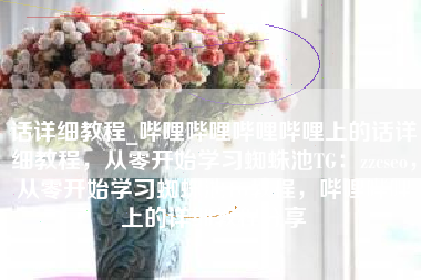 话详细教程_哔哩哔哩哔哩哔哩上的话详细教程，从零开始学习蜘蛛池TG：zzcseo，从零开始学习蜘蛛池TG教程，哔哩哔哩上的详细教程分享