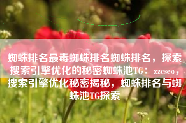 蜘蛛排名最毒蜘蛛排名蜘蛛排名，探索搜索引擎优化的秘密蜘蛛池TG：zzcseo，搜索引擎优化秘密揭秘，蜘蛛排名与蜘蛛池TG探索