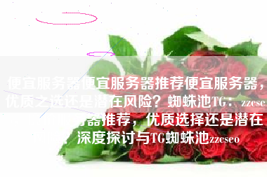 便宜服务器便宜服务器推荐便宜服务器，优质之选还是潜在风险？蜘蛛池TG：zzcseo，廉价服务器推荐，优质选择还是潜在风险？深度探讨与TG蜘蛛池zzcseo