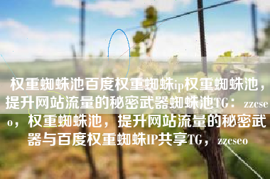 权重蜘蛛池百度权重蜘蛛ip权重蜘蛛池，提升网站流量的秘密武器蜘蛛池TG：zzcseo，权重蜘蛛池，提升网站流量的秘密武器与百度权重蜘蛛IP共享TG，zzcseo