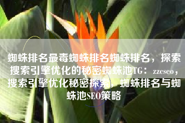 蜘蛛排名最毒蜘蛛排名蜘蛛排名，探索搜索引擎优化的秘密蜘蛛池TG：zzcseo，搜索引擎优化秘密探索，蜘蛛排名与蜘蛛池SEO策略