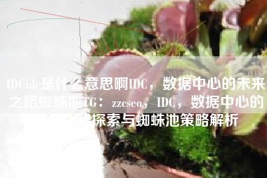 IDCidc是什么意思啊IDC，数据中心的未来之路蜘蛛池TG：zzcseo，IDC，数据中心的未来之路探索与蜘蛛池策略解析