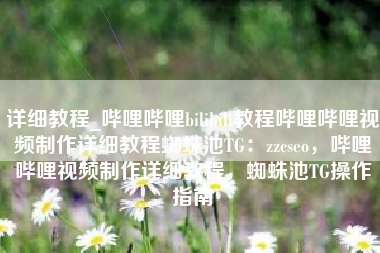 详细教程_哔哩哔哩bilibili教程哔哩哔哩视频制作详细教程蜘蛛池TG：zzcseo，哔哩哔哩视频制作详细教程，蜘蛛池TG操作指南