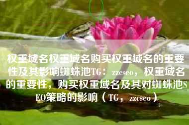 权重域名权重域名购买权重域名的重要性及其影响蜘蛛池TG：zzcseo，权重域名的重要性，购买权重域名及其对蜘蛛池SEO策略的影响（TG，zzcseo）
