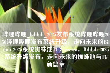 哔哩哔哩_bilibili_2025发布系统哔哩哔哩2050哔哩哔哩发布系统升级，走向未来的Bilibili 2025系统蜘蛛池TG：zzcseo，Bilibili 2025系统升级发布，走向未来的蜘蛛池与TG新篇章