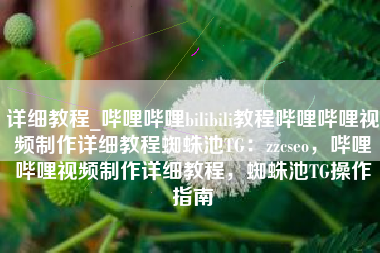 详细教程_哔哩哔哩bilibili教程哔哩哔哩视频制作详细教程蜘蛛池TG：zzcseo，哔哩哔哩视频制作详细教程，蜘蛛池TG操作指南