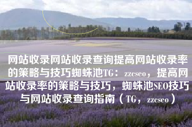网站收录网站收录查询提高网站收录率的策略与技巧蜘蛛池TG：zzcseo，提高网站收录率的策略与技巧，蜘蛛池SEO技巧与网站收录查询指南（TG，zzcseo）
