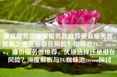 便宜服务器便宜服务器推荐便宜服务器，优质之选还是潜在风险？蜘蛛池TG：zzcseo，廉价服务器推荐，优质选择还是潜在风险？深度解析与TG蜘蛛池zzcseo探讨