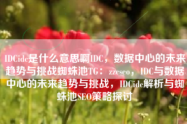 IDCidc是什么意思啊IDC，数据中心的未来趋势与挑战蜘蛛池TG：zzcseo，IDC与数据中心的未来趋势与挑战，IDCidc解析与蜘蛛池SEO策略探讨
