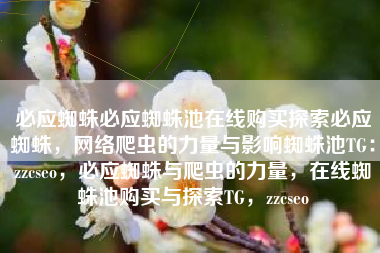 必应蜘蛛必应蜘蛛池在线购买探索必应蜘蛛，网络爬虫的力量与影响蜘蛛池TG：zzcseo，必应蜘蛛与爬虫的力量，在线蜘蛛池购买与探索TG，zzcseo