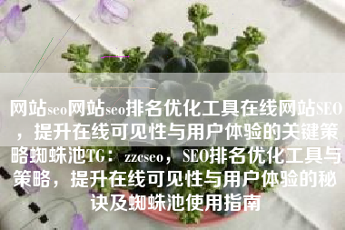 网站seo网站seo排名优化工具在线网站SEO，提升在线可见性与用户体验的关键策略蜘蛛池TG：zzcseo，SEO排名优化工具与策略，提升在线可见性与用户体验的秘诀及蜘蛛池使用指南