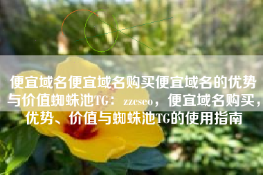 便宜域名便宜域名购买便宜域名的优势与价值蜘蛛池TG：zzcseo，便宜域名购买，优势、价值与蜘蛛池TG的使用指南