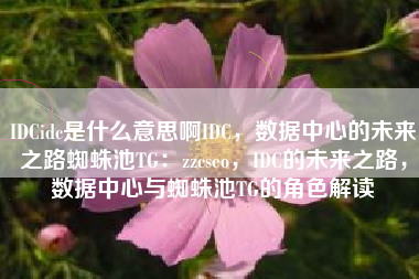 IDCidc是什么意思啊IDC，数据中心的未来之路蜘蛛池TG：zzcseo，IDC的未来之路，数据中心与蜘蛛池TG的角色解读