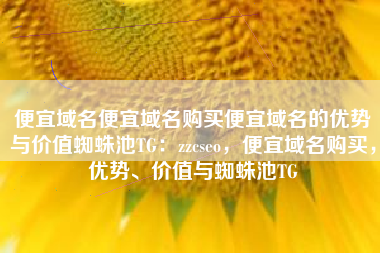 便宜域名便宜域名购买便宜域名的优势与价值蜘蛛池TG：zzcseo，便宜域名购买，优势、价值与蜘蛛池TG