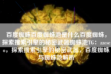 百度蜘蛛百度蜘蛛池是什么百度蜘蛛，探索搜索引擎的秘密武器蜘蛛池TG：zzcseo，探索搜索引擎的秘密武器，百度蜘蛛与蜘蛛池解析