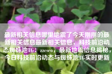 最新相关信息哪里地震了今天刚刚的最新相关信息最新相关信息，科技前沿动态蜘蛛池TG：zzcseo，最新地震信息揭秘，今日科技前沿动态与蜘蛛池TG实时更新