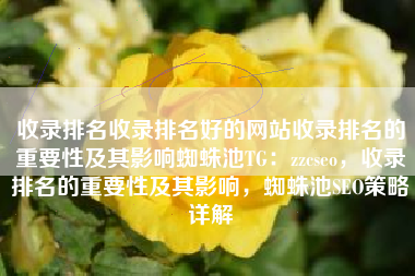 收录排名收录排名好的网站收录排名的重要性及其影响蜘蛛池TG：zzcseo，收录排名的重要性及其影响，蜘蛛池SEO策略详解